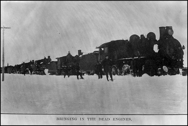 Dead engines, 258 and others, after snowstorm on Fargo Divn  cy  D S Colby  There are five steam engines in this copy negative view that apparently went cold after being stuck in a blizzard.