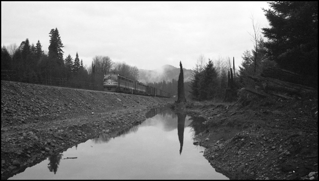 Distant shot of NP freight X6003E with new FT diesel 6003 passing old snag, Maywood, WA.