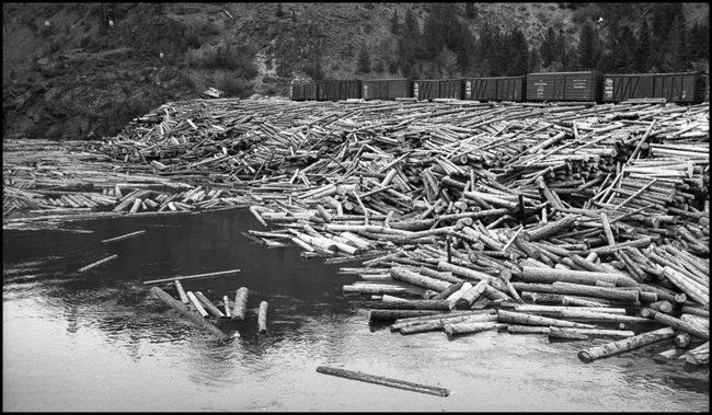 Logs in the Blackfoot River at Bonner, MT, with freight cars in background.