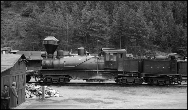 ACM 7, shay locomotive with Mr. Elwood Bogard and unknown lady standing by shed close to locomotive.  Cyclone style spark arrester stack on locomotive.  Left side view.