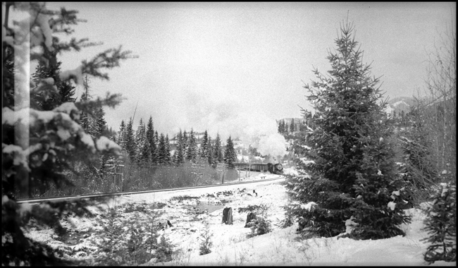A scene worthy of a Christmas card features the eastbound North Coast Limited in a snowy Montana evergreen forest.  The power is An A Northern built in 1927, possibly the first standard standard Northern to be scrapped, in August, 1949.