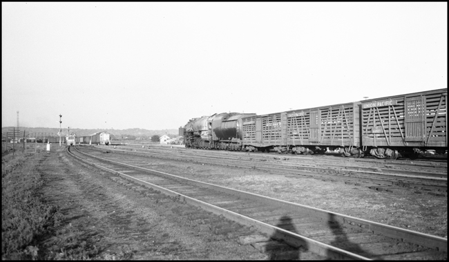 Going away shot of UP Extra 9016 East, with stock cars, Council Bluffs, IA.