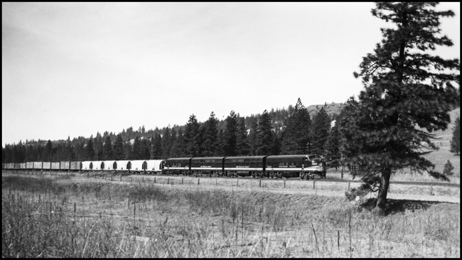NP X6005E near Marshall, WA