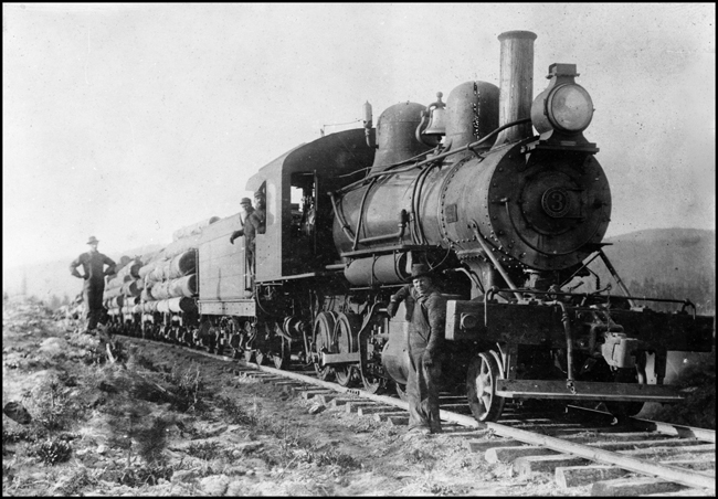 Blackwell Logging Company Number 3 at Fighting Creek, Mica Bay Ford, Idaho