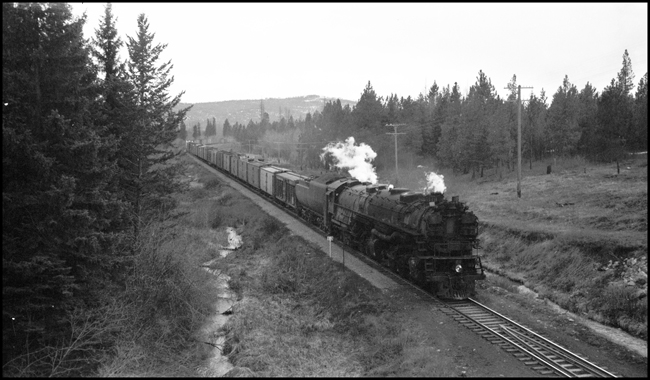 NP 5119, Class-W, 4-6-6-4, West bound with freight near Schley, MT