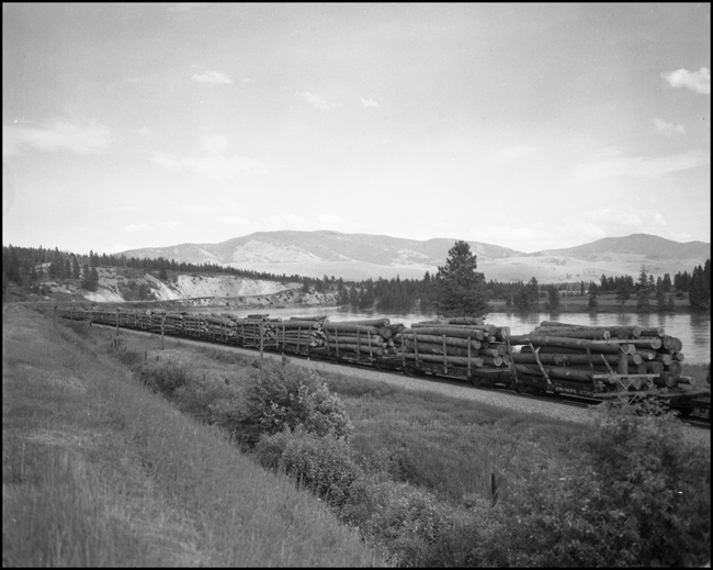 Log train, extra 559 east bound near Weekville, MT.