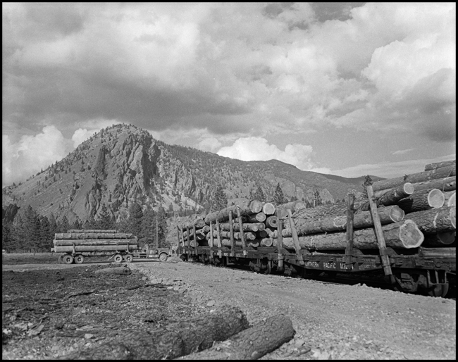 Log