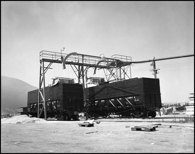 Chip
