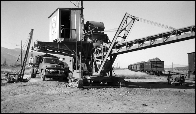 NP hoppers being loaded with sugar beets at a field near Corvallis, MT.