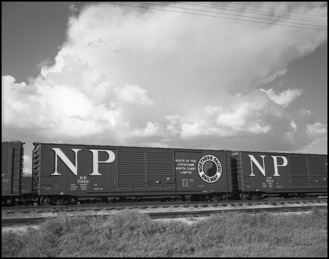 NP