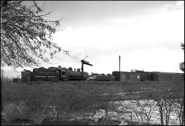 Panorama of unknown NP yard, with 2-8-0 switcher no. 23, three-dome tank car, two-door boxcar, heavyweight Pullman, water column.