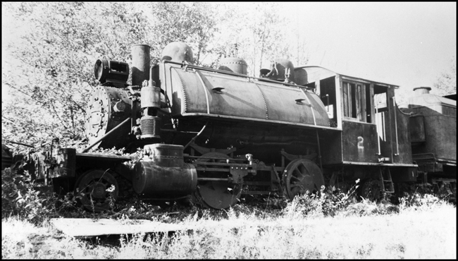 Derelict Western Fuels of Canada 2-4-2T no. 2 in dead line at Paldi, BC.