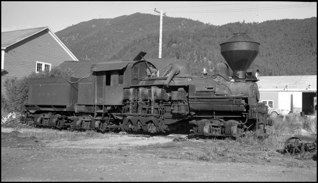 A geared steam locomotive transmitted the power from boiler to wheels through a special arrangement of cylinders and upright rods, with the final transmission of power to the relatively small wheels via gears.  Such engines were powerful for their size, easy on the track, able to handle tight curves and awful roadbeds, and get to places where no one with an ounce of sense would send a rod engine.  Sounds ideal for a logging railroad