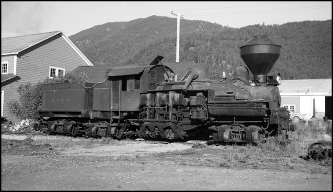A geared steam locomotive transmitted the power from boiler to wheel through a special arrangement of upright cylinders and rods, with the final transmission of power to wheels via gears.  Such engines were powerful for their size, easy on the track, able to handle tight curves, heavy grade and rough road beds which made them ideal for logging railroads.
