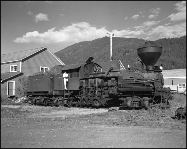 White clothing in a Shay cab can only mean the engine is not going anywhere, and it is safe, provided you are willing to pick up a little dirt, to explore the control area.  A potential buyer takes a closer look at Anaconda engine 5