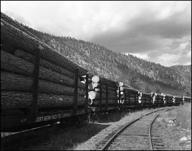 A log train at Fish Creek west of Cyr, MT.
