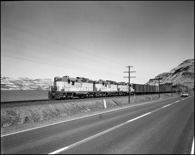 Three UP diesels lead a freight train near Wallula, WA.