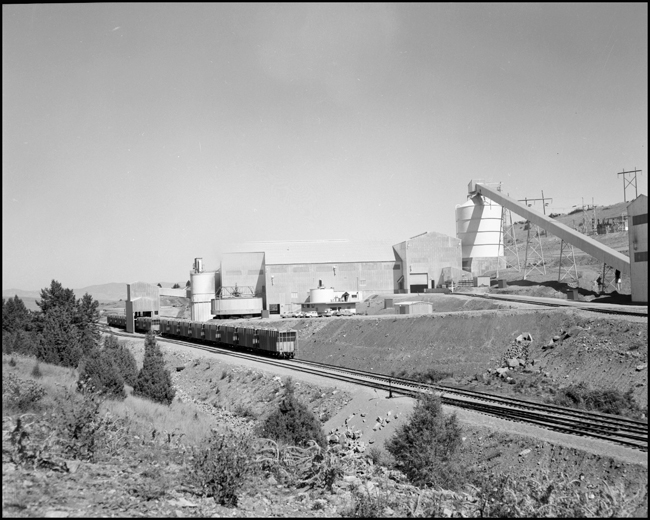 Yard at Elephant, MT.