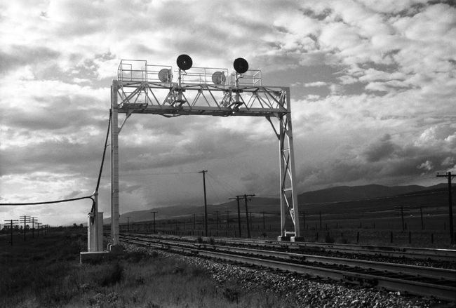 Signal