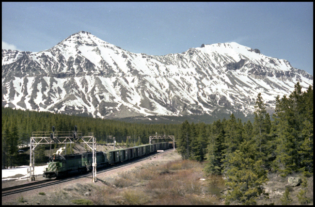 BN XCS  980 W passes signal bridge at Marias, MT