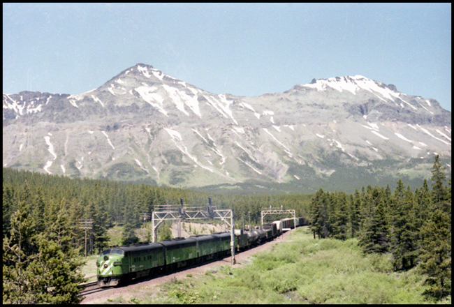 Helpers BN 808-813-817-812 pushing BN Train 84 at Marias, MT.