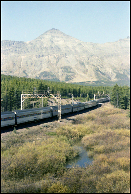 BN Train No. 8 with AMT 234-248 and 251 at Marias, MT