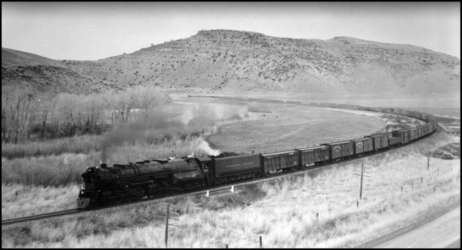 NP X5121W, Class Z-7 pulling freight near Elton, MT.
