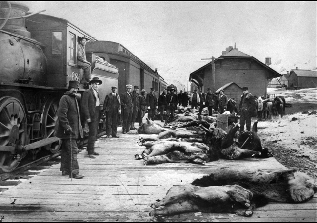 NP 684, Class C-1 on park train at Gardiner with several hunters on depot platform with the elk they have taken on their successful hunting trip.