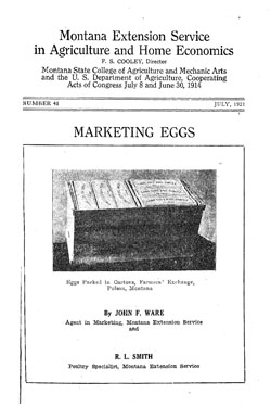 Marketing Eggs