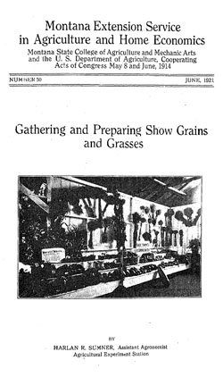 Gathering and Preparing Show Grains and Grasses