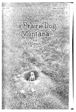 The Prairie Dog in Montana