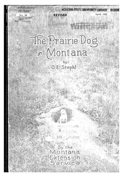 The Prairie Dog in Montana