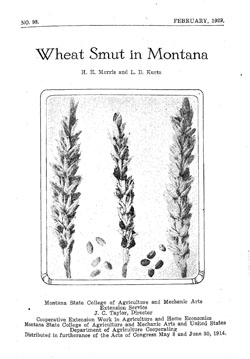 Wheat Smut in Montana