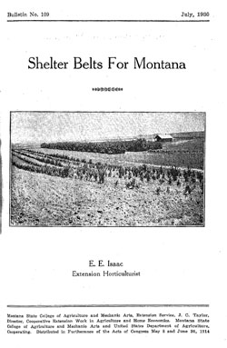 Shelter Belts For Montana