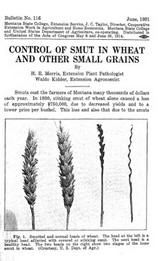 Control of Smut in Wheat and Other Small Grains