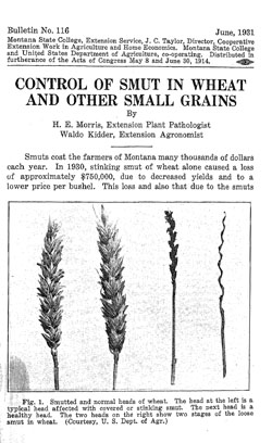 Control of Smut in Wheat and Other Small Grains