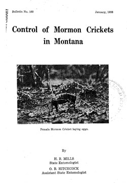 Control of Mormon Crickets in Montana