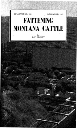 Fattening Montana Cattle