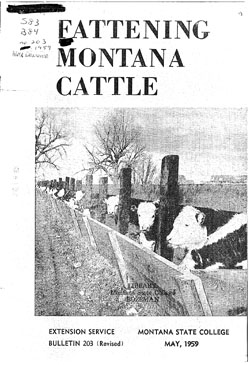 Fattening Montana Cattle