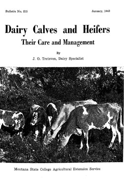 Dairy Calves and Heifers: Their Care and Management