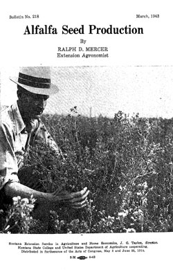 Alfalfa Seed Production