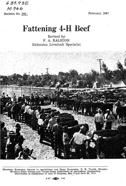Fattening 4-H Beef