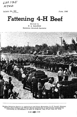 Fattening 4-H Beef