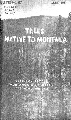 Trees Native to Montana