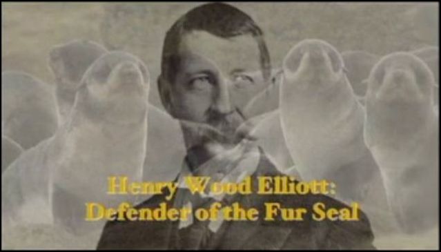 Henry Wood Elliott - Defender of the Fur Seal