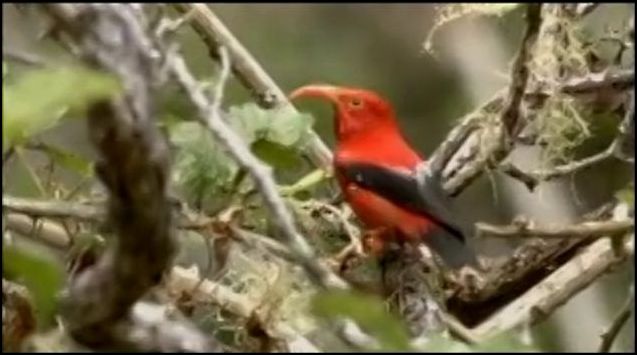 A Matter of Life and Death