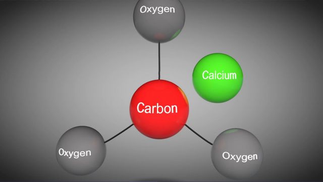 Organic Carbon