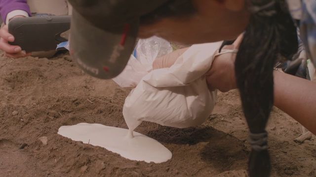 Bigfoot and the Citizen Scientist