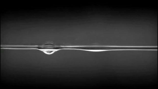 NEOS: National Earth Observing System