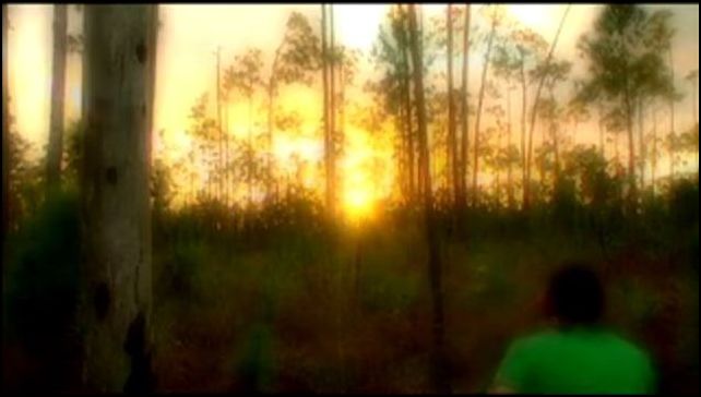 Pine Rockland Composition